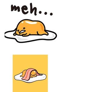 Meet your Posher, Lanch